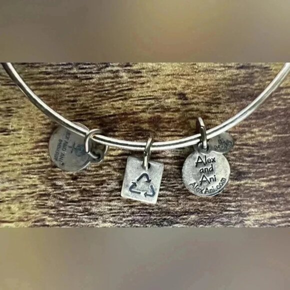 Alex and Ani | Lighthouse, Expandable Rafaelian Bangle Bracelet. - Picture 7 of 13